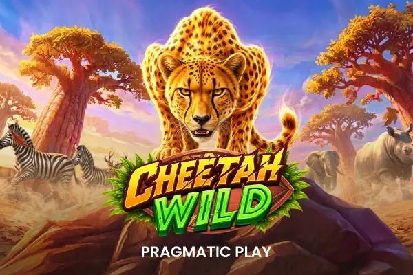 En gepard stirrer rett fram over logoen til Cheetah Wild (Pragmatic Play), med sebraer, et neshorn og baobabtrær på savannen bak.